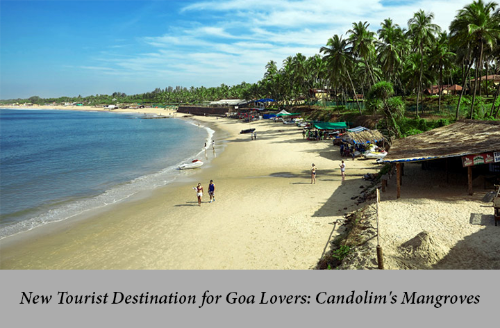 New Tourist attraction to be soon for Goa Lovers: Candolim