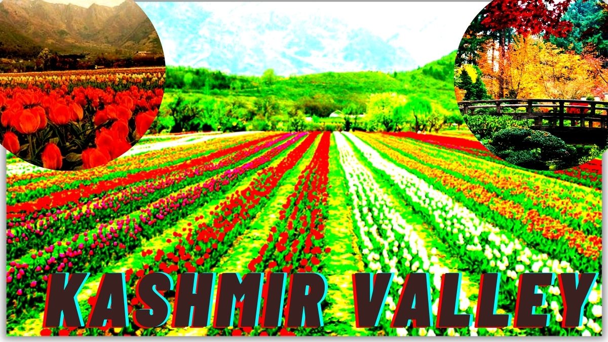 Kashmir is blooming with throng of tourists after a long gap of 7 years