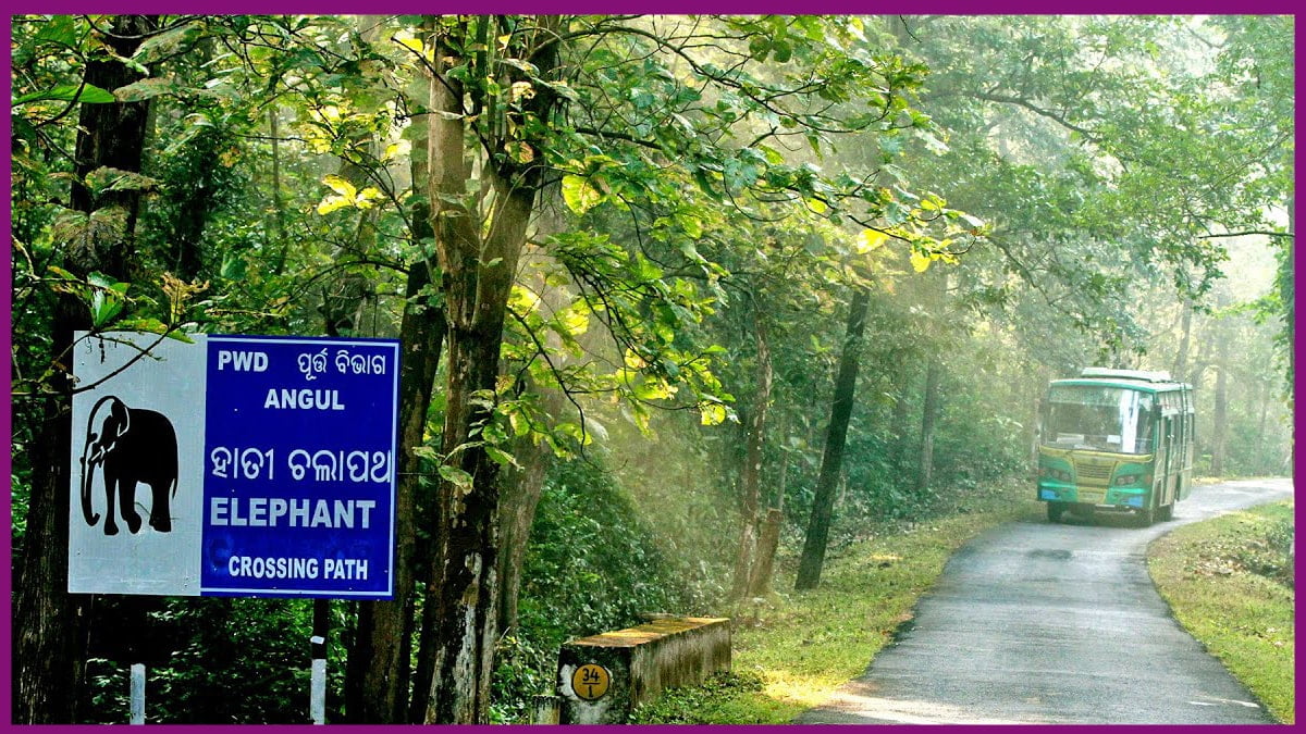 13 New Eco-Tourism Locations to Open Soon in Odisha 