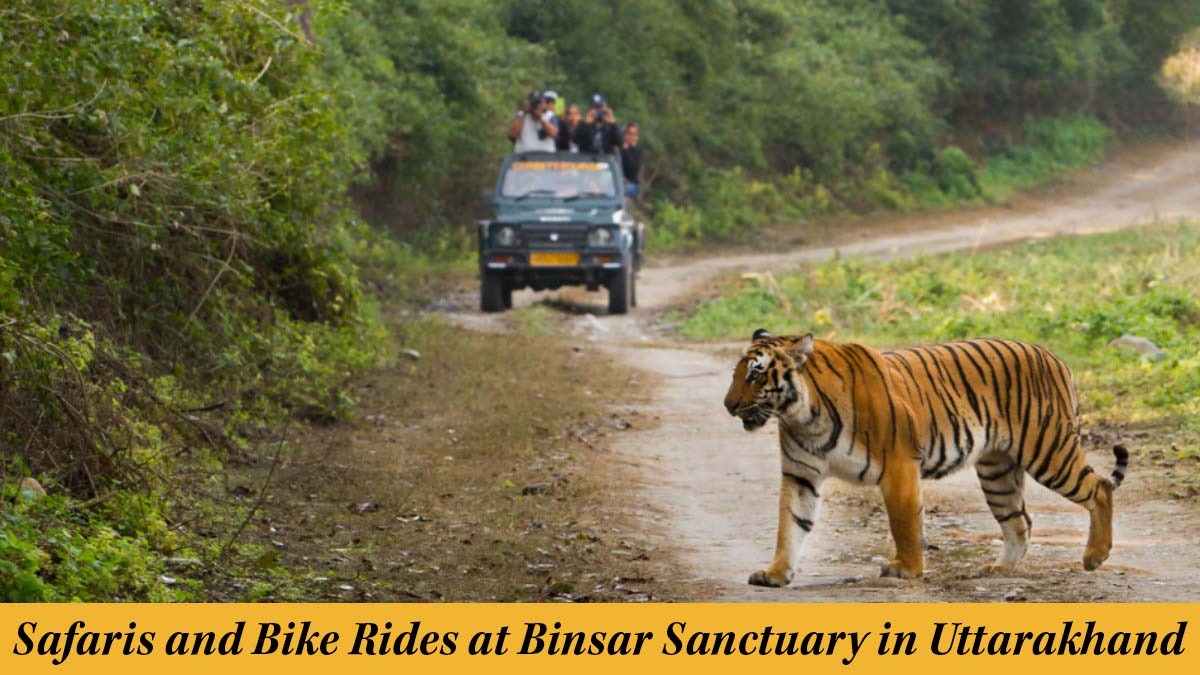Binsar Sanctuary in Uttarakhand Introducing Thrilling Jungle Safaris and Bike Rides for Adventurous Travelers