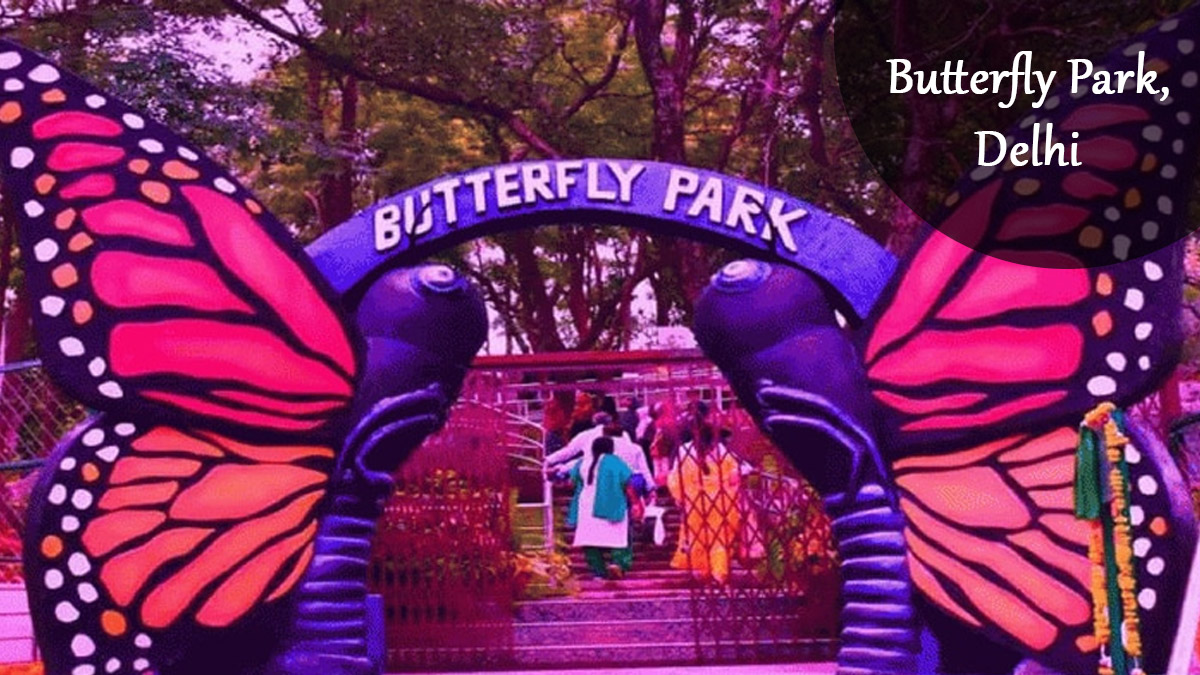 Delhi Butterfly Park: Know more about new tourist attraction in Delhi 