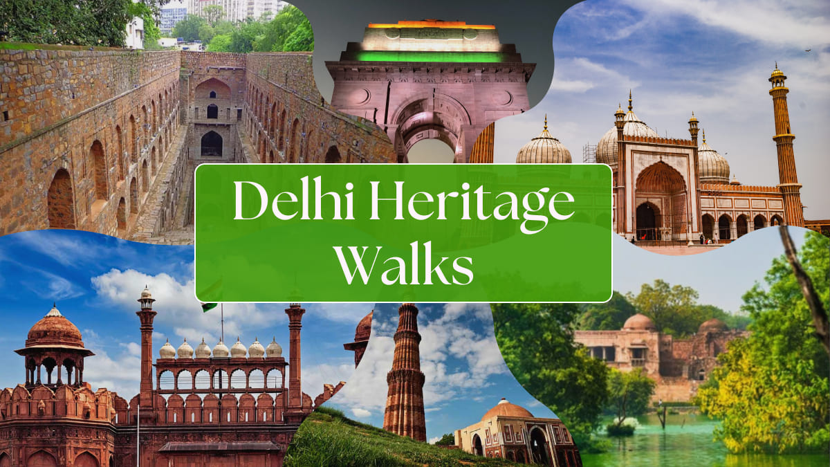 Discover Delhi