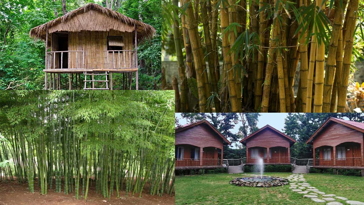 India got its first Bamboo Village at Tripura