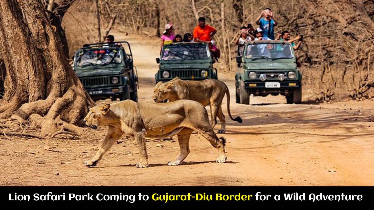 Lion Safari Park Coming to Gujarat-Diu Border for a Wild Adventure