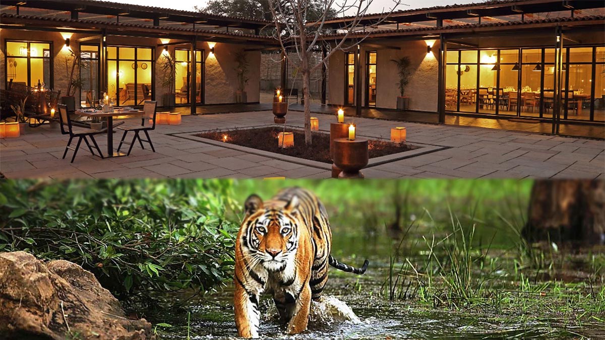 Journey Will Get Closer To Nature With Bori Safari Lodge In Bori Wildlife Sanctuary, Satpura