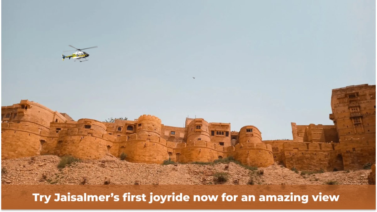 Tourists can now get a bird