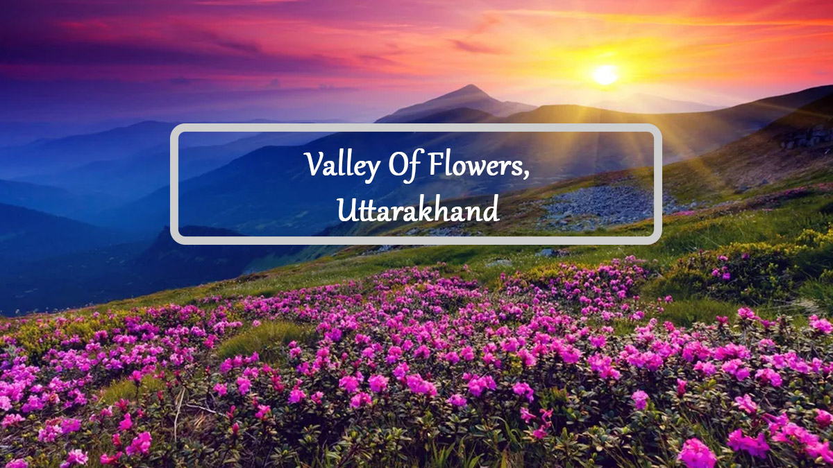 The Valley of Flowers trek in Uttarakhand will begin from June 1st