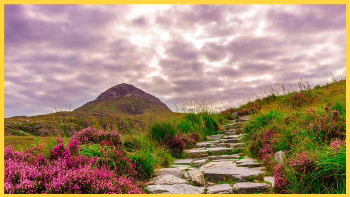 Nagaland Begins a Novel Campaign to Promote Off-Road Travel