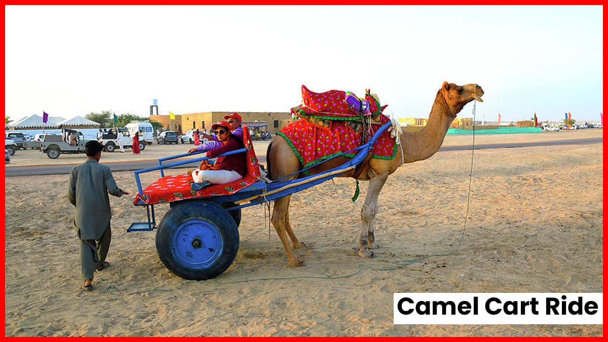 Camel Cart RIde in Rann of Kutch
