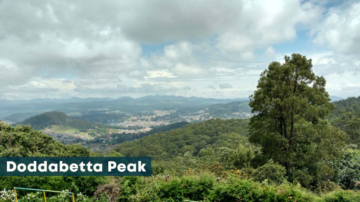 doddabetta peak