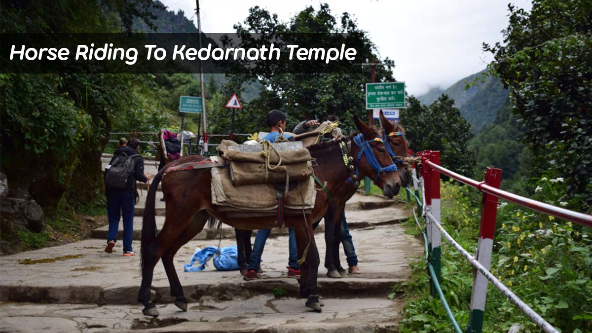 Horse riding In Kedarnath