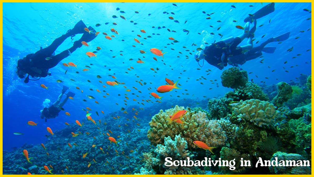 Andaman and nicobar islands beach