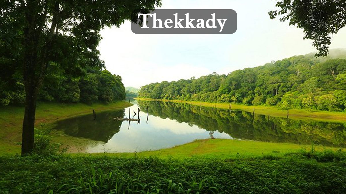 Thekkady-Hill Station in Kerala