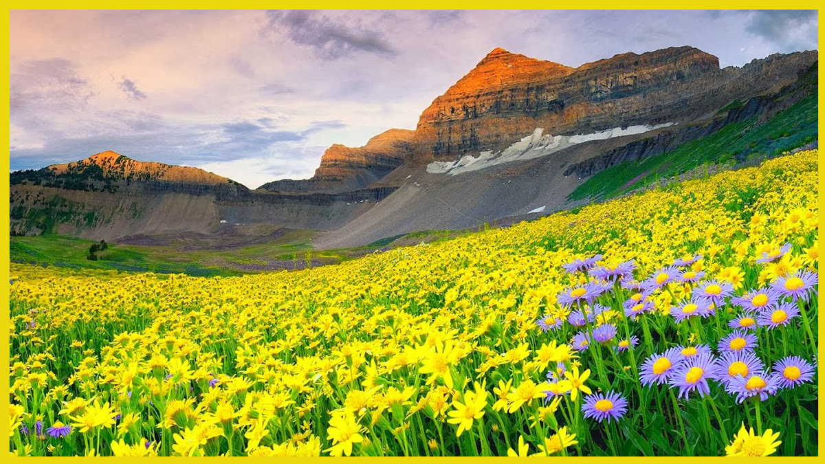 valley of flowers trek