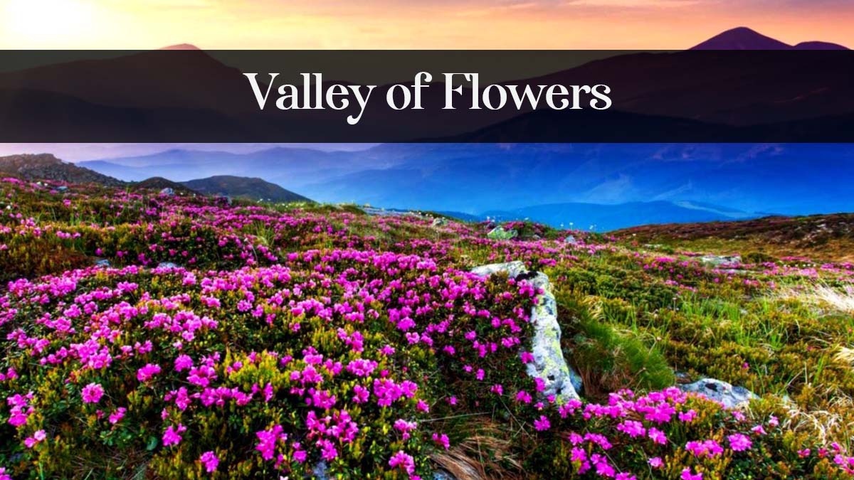 valley of flowers