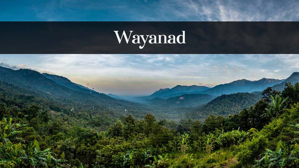 Wayanad- beauty in kerala