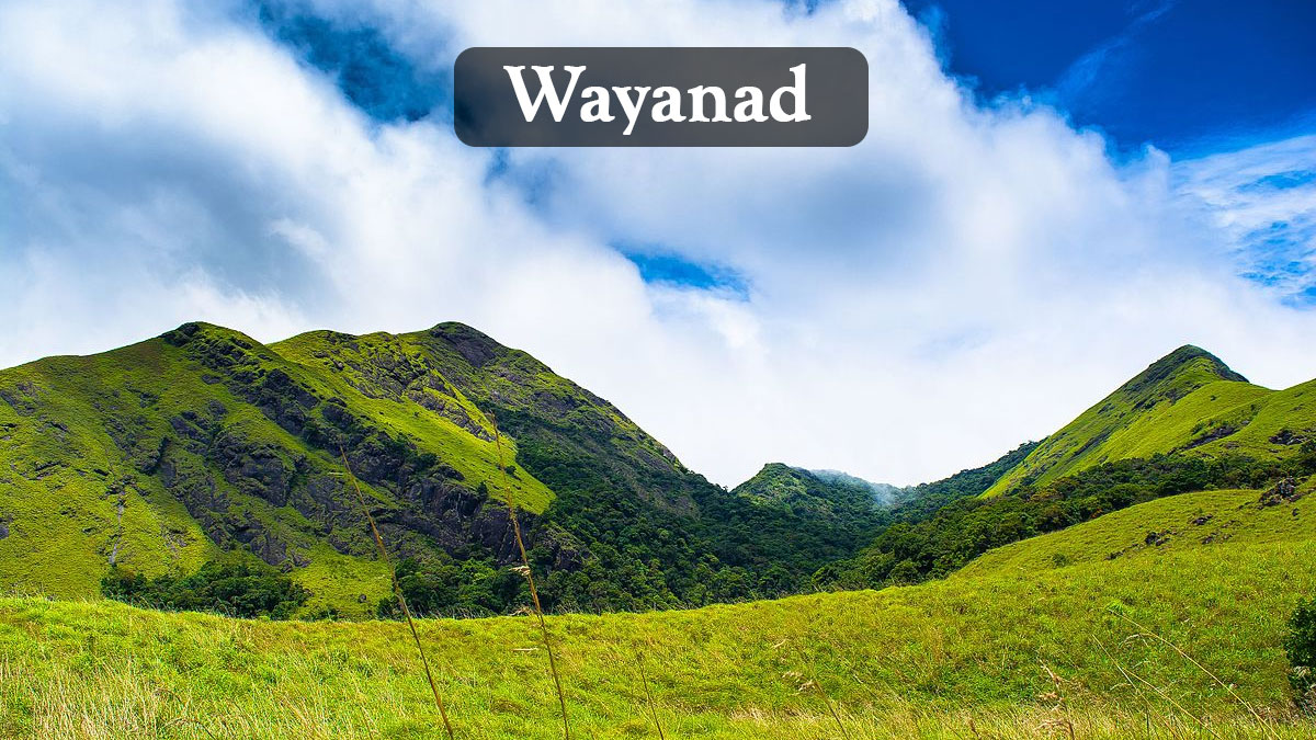 Wayanad Hill Station
